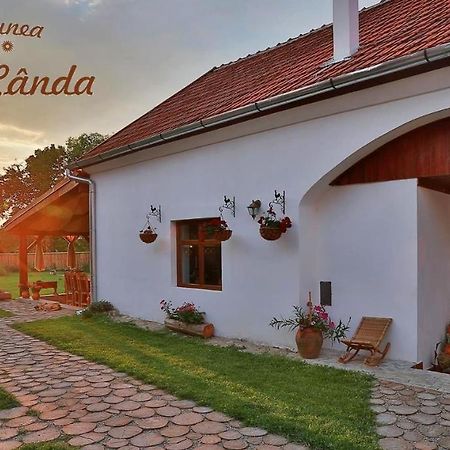 Casa Canda Salasu de Sus Buitenkant foto