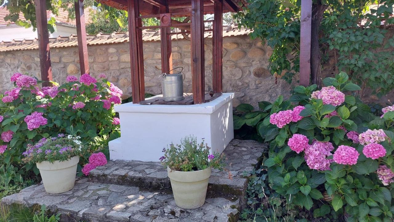 Casa Canda Salasu de Sus Buitenkant foto