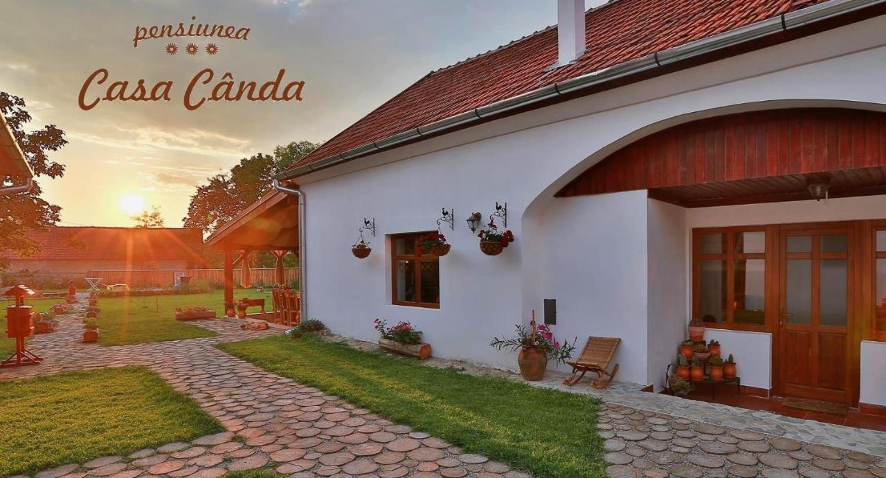 Casa Canda Salasu de Sus Buitenkant foto